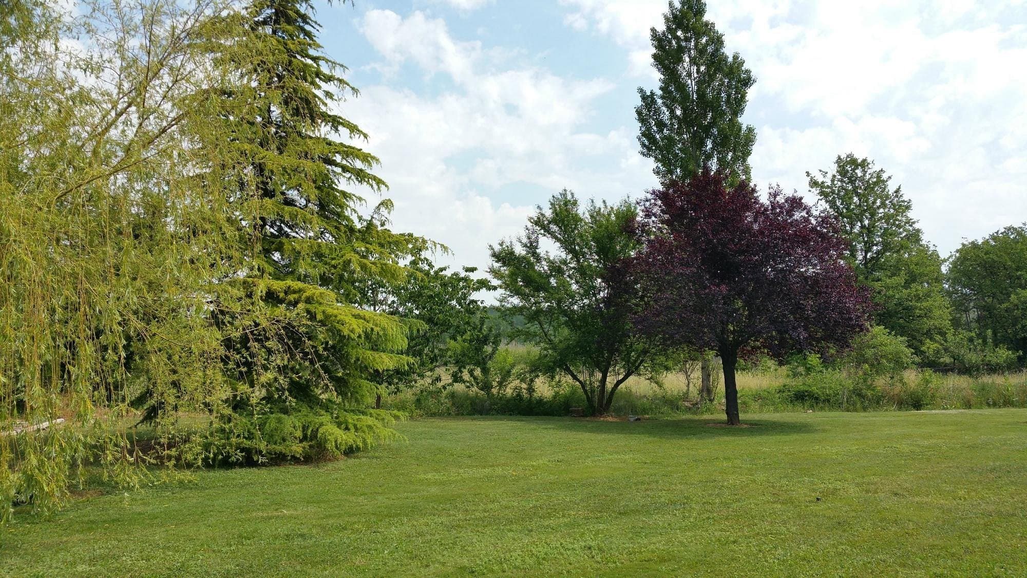 domaine-de-la-begude-1.jpg